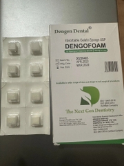 Bông xốp cầm máu DengoFoam