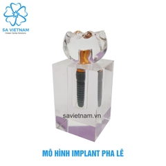 Mô hình implant pha lê