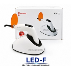 Đèn Quang Trùng Hợp Woodpecker LED F (Đèn trám răng)