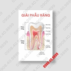 Tranh 