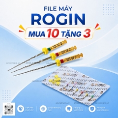 File máy ROGIN, Trâm Máy Dẻo Rogin (vỉ 6 cây) (MUA 10 TẶNG 3)
