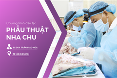 Khóa học Phẫu thuật nha chu - TP. Hồ Chí Minh