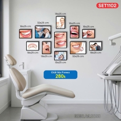 Set tranh nha khoa chất liệu fomex