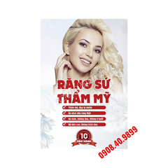 Tranh thẩm mỹ răng sứ công nghệ cao - MS13