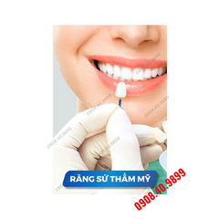 Tranh thẩm mỹ răng sứ công nghệ cao - MS08