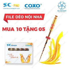 File dẻo nội nha SOCO