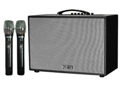 Loa kéo đi động Acnos CS251PU,Bass 25cm,công suất 350w
