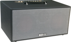 Loa xách tay mini Karaoke ACNOS KSNet450 (kèm 2 mic) 300W