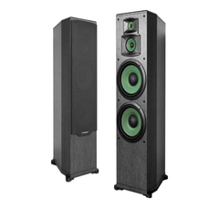 LOA KARAOKE PARAMAX F-2000, 2 BASS 25CM, 250Wx2