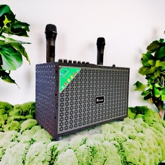 Loa mini xách tay LEONG L-111, 2 Micro, 100w, bass 20cm