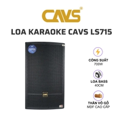 Loa karaoke CAVS LS715 (loa full, 2 đường tiếng, bass 40cm, treble kèn, 700W)