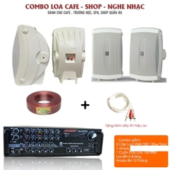 Combo loa treo tường dành cho quán cafe, nghe nhạc gồm 2 cặp AW350, Amply TH-222USB, PA-6000