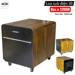 Loa sub điện 30 1200 - hàng nhập khẩu
