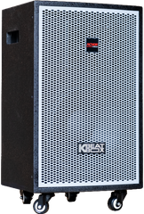 Loa kéo di động Acnos KDNet3011 (Xài điện, Bass 30cm)