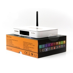 ĐẦU KARAOKE PROSING PS100 PRO HÁT KARAOKE ONLINE, YOUTUBE CHẤT LƯỢNG
