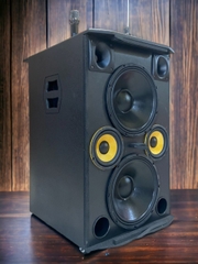 Loa kéo bình ADX-212b 3 tấc đôi công suất lớn, 800w, 2 Micro UHF, Micro chống hú cao cấp