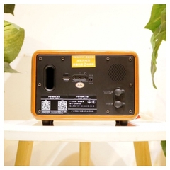 Loa karaoke mini FEIYANG QX06-02, kèm 01 micro