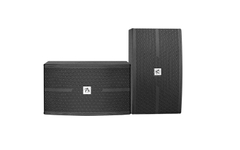 Loa Karaoke PS Bass 25cm,Công suất 300w KP-10