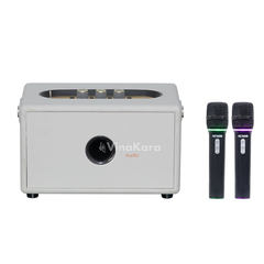 Loa Xách Tay Acnos S30 New 2026 120W Bluetooth 5.0 Kèm 2 Micro Không Dây