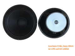 Loa bass 3 tấc, bass 30cm từ 170 coil 65 1265A