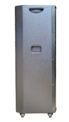 Loa Di Động Bass Đôi Bosa PK-188A