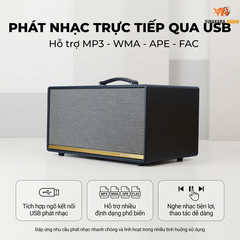 Loa Di Động Arirang BRAVO 8 – 200W RMS, 4 Loa 3 Đường Tiếng, Kèm 2 Micro