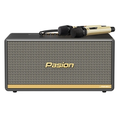 Loa Di Động Xách Tay PARAMAX PASION 2C, 400w