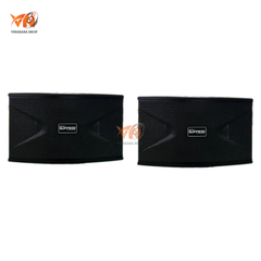 Loa Karaoke GUINNESS KS105G (Bass 25cm)