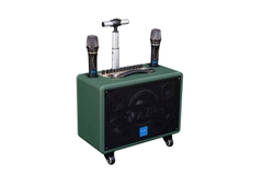 Loa Kéo Xách Tay AZPro 316, Bass 15cm, 160w, 2 Micro