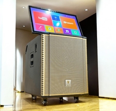 Loa Màn Hình YUYANG YY919TV, 25inch, Màn Hình Cảm Ứng, 1200w