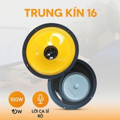 Loa trung 16 từ 100, 1,6 tấc LT16, trung kín 100w