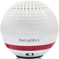 LOA VI TÍNH SOUNDMAX R100