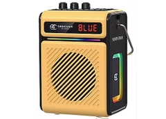 Loa xách tay Soontran X1, Kèm micro ,Bluetooth