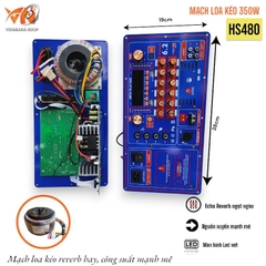 Mạch loa kéo board 19x38, FBX chống hú, Opical, 350W