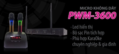 Micro Arirang Không Dây PWM-3600 hàng chính hãng