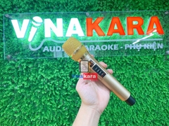 Micro đa năng DK209. Bộ bao gồm 2micro. 2 màu sắc