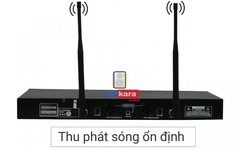 Micro không dây AAP K900F