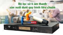 Micro không dây AAP S700