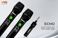 MICRO KHÔNG DÂY PARAMAX PASION, ECHO, DSP - HÀNG CHÍNH HÃNG