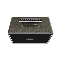 Loa Di Động Xách Tay PASION Arte – 225W, 4 Loa, Bluetooth 5.3, DSP 32-bit