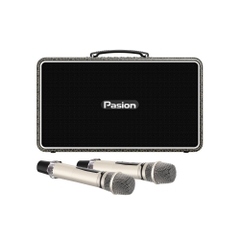 Loa Di Động Xách Tay PASION Arte – 225W, 4 Loa, Bluetooth 5.3, DSP 32-bit