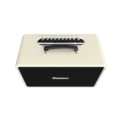 Loa Di Động Xách Tay PASION Arte – 225W, 4 Loa, Bluetooth 5.3, DSP 32-bit