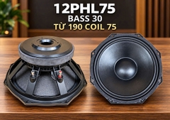 LOA BASS RỜI 30 NX 12PHL75 - TỪ 190, COIL 75