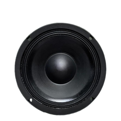 LOA BASS RỜI 25 FAITAL PRO 10FH520 TỪ NEO