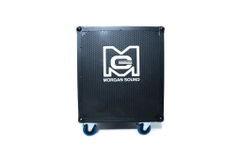 Tủ Gỗ Âm Thanh Morgansound 12U Có Ngăn Mixer, 60x53x70