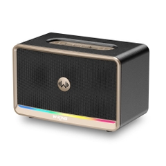 Loa Bluetooth Retro W-KING H330, Công suất 120w,