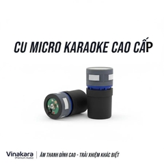 Củ micro DB Acoustic 450II - K6000 - 750Pro - 750Plus chính hãng - phiên bản