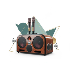 Loa Xách Tay Mini ADX 220-PU, 300W, 2 Micro UHF, 2 Bass 20