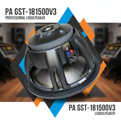 Loa bass rời SUB Bass 50 Paudio GST-181500