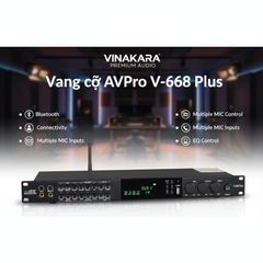 Vang Cơ AVPRO V-668Plus Chính Hãng – Vang Karaoke Chỉnh Cơ Chống Hú Hiệu Quả